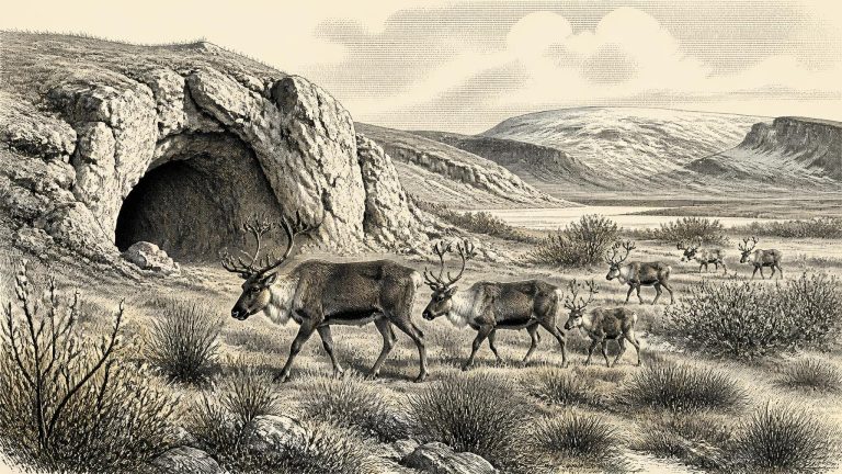 The Waterford Deer Horizon