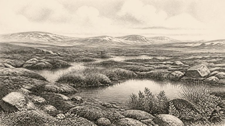 Alternate Milfoil Silts