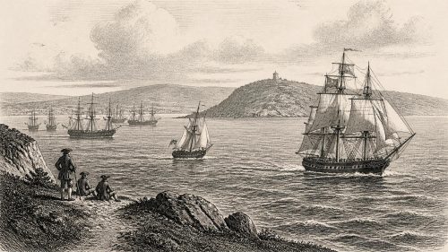 Campbell’s Southern Survey