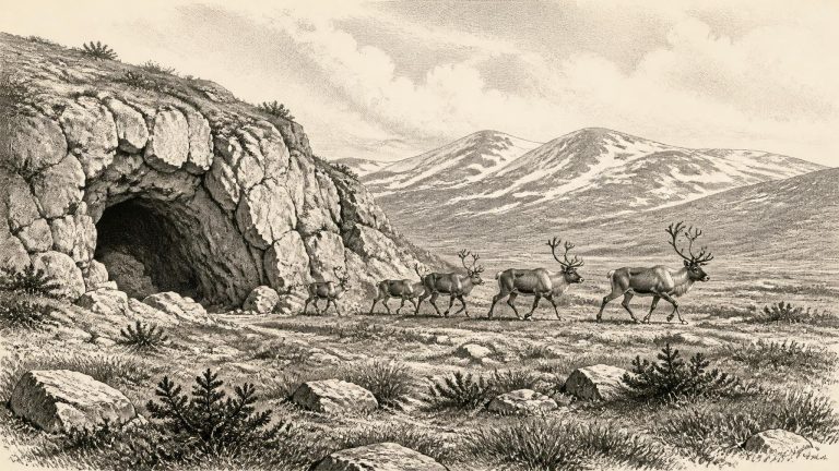 Castlepook’s Pleistocene Menagerie