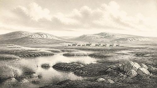 Derryvree Freshwater Silts