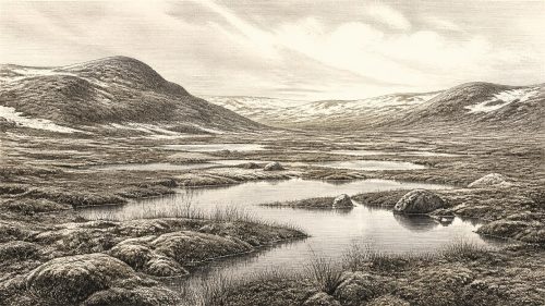 Derryvree’s Glacial Seal