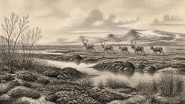 Derryvree’s Ice-Free Wetland
