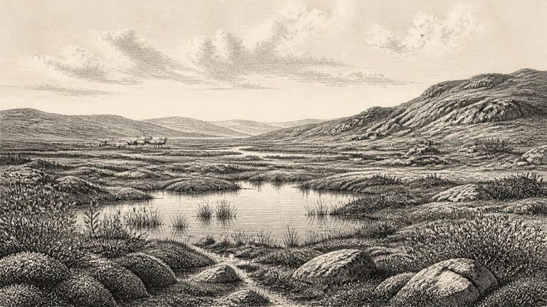 Myriophyllum Alterniflorum at Derryvree