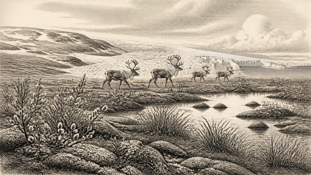 The Greenagho Lakebed