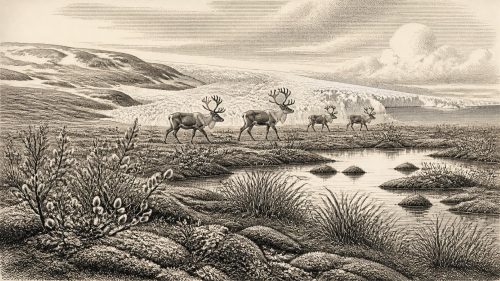 The Greenagho Lakebed