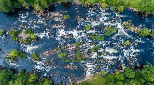 River_rapids_rocky_riverbed_202607240039