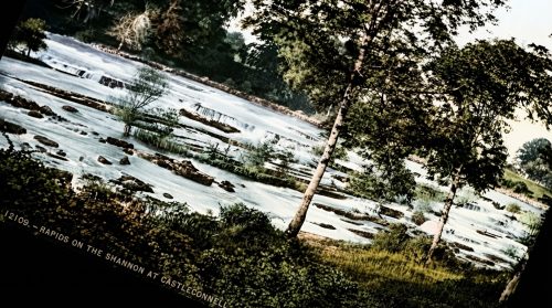 River_rapids_with_greenery_202607240039