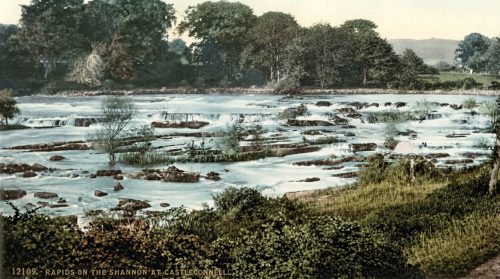 River_rapids_and_dense_trees_202607240039