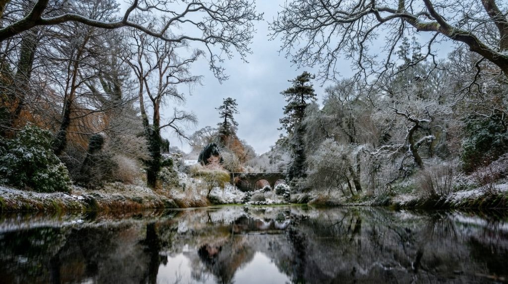 Low-angle_view_lake_trees_202607241854